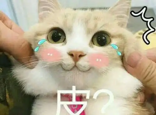 小哈皮表情包表情