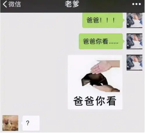  大学生活费统计图出炉,共分5个档次,看看你属于哪一档