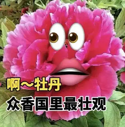  别人七夕收红色玫瑰,你七夕收闲鱼牡丹