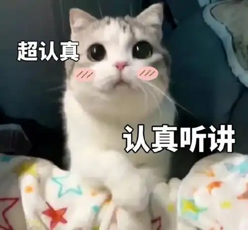 表情包搞笑微信猫咪
