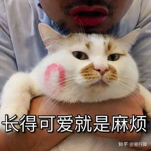  会不会至多通过七个人就能认识任何一个在地球上的外星人