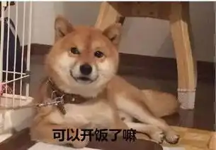  表情包里的ta才是日本逗比中的战斗机