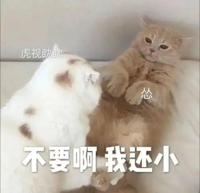 我错了下次还敢表情包认