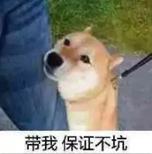  王者荣耀女大学生心声玩农药最好还是玩微信区