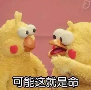  奇葩动物展再次袭来,数万只蝴蝶翩翩起舞看完让人吐血