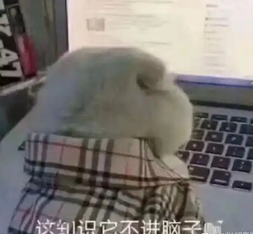 同学,你好给2020年许久未见的你