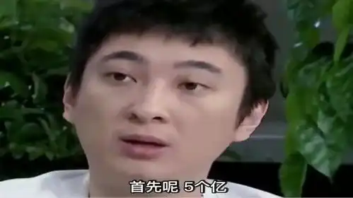  王思聪澄清下,我爸没给过我五个亿