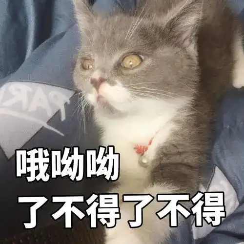  这才是她红不起来的原因...