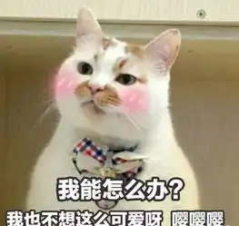  这是一条合集推文