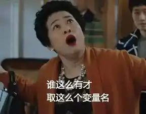 我的前半生程序员版表情包