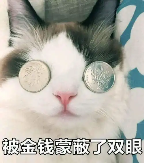  2019年,这个金融证书将吸金无数