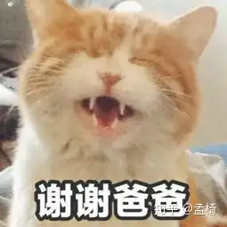 和父母聊天使用表情包会有什么奇异效果