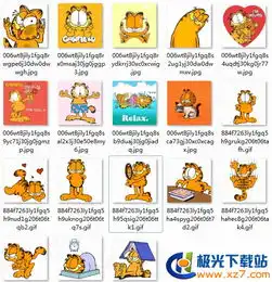 cc猫动态表情包gif