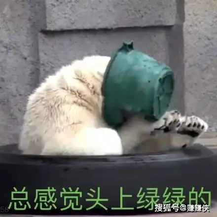  搞笑表情包图片你知道怎么表达自己的情绪吗