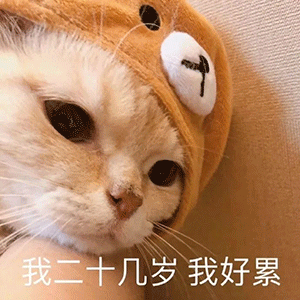  今日份沙雕表情包多喝热水少发骚
