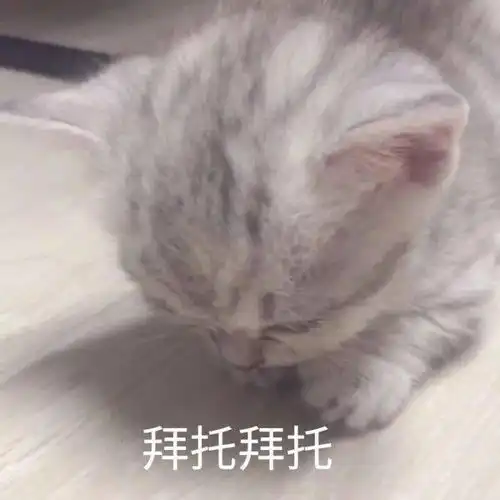 拜托表情包图片微信社会