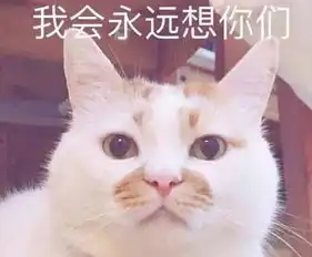  表情包不爽猫去世7岁著名网红不爽猫去世