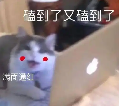 磕cp表情包原图