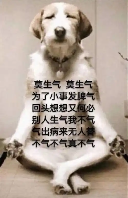  最全佛系表情包,看完之后,我的内心只有peacelove