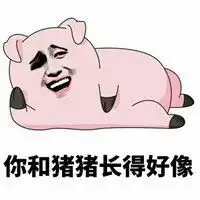  你和猪猪长得好像表情包无水印版