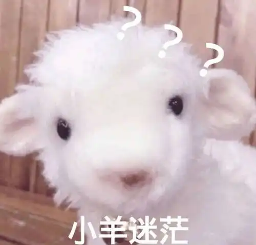  零基础纯小白考生该怎么备战法考