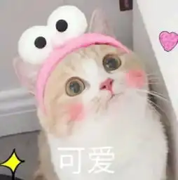  各位新人演员看过来这样的简历才是一份标准又优秀的演员简历