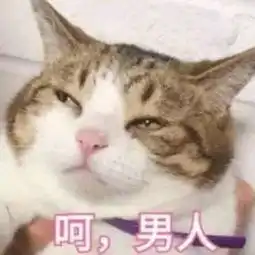  如何知道和试探一个天天和你发信息的男生喜不喜欢你