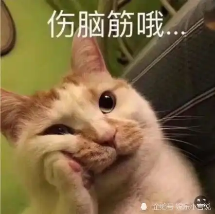 网红懒懒兔表情包小可爱
