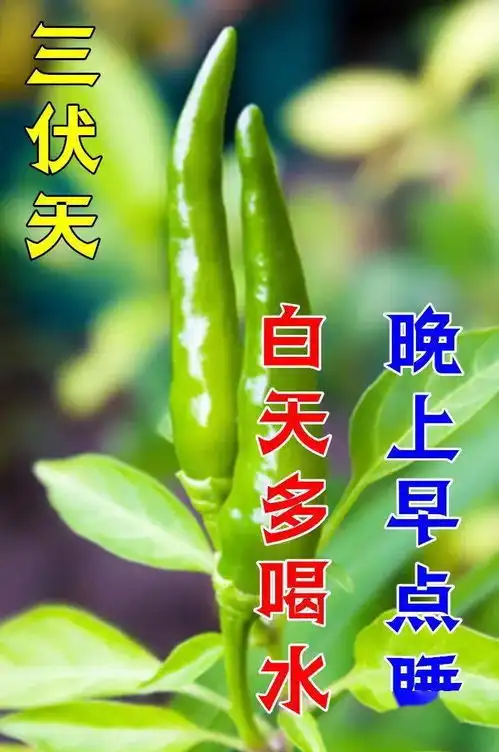  最漂亮早上好动态表情图片大全,早晨好动图美图大全