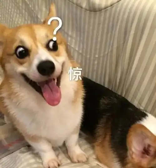  爸妈再爱我一次之表情包不是这个意思