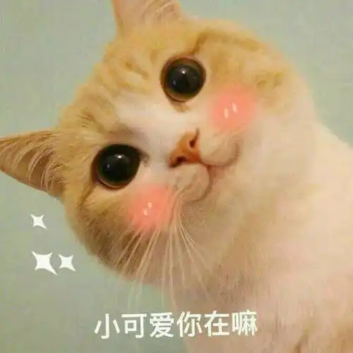 可爱哄人的表情包