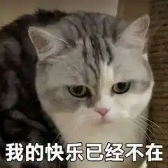  论,女生相册里奇奇怪怪的表情包