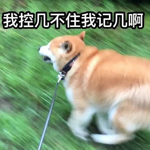  大家都来说说自己是怎么从瘦到胖的
