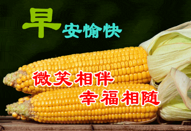  10月27日最漂亮早上好动态表情图片大全,早晨好动图美图大全