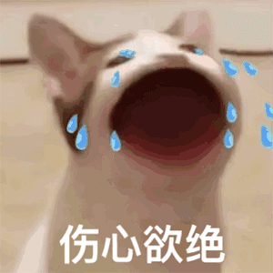  微信搞笑表情包这是小猫咪能看的吗