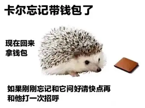  卡尔小刺猬可爱表情包,谢谢卡尔,拿来吧你
