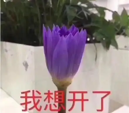 当代青年的真实描图我想开了,我自闭了