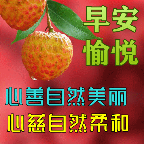  2024年6月8日早安图片,端午安康动态表情包图片大全