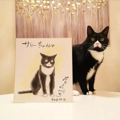  一只用鼻子发射爱心的奶牛猫,模样可爱又魔性