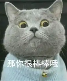  网红猫系列表情包