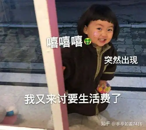  keke爱爱讨生活表情包