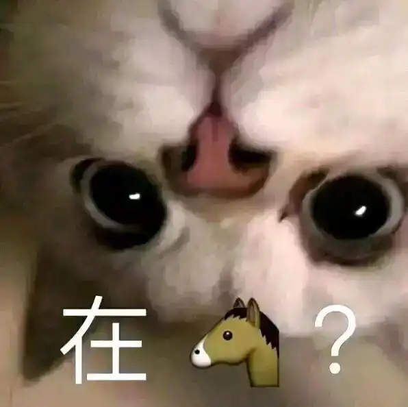  猫咪表情包发出反派的笑声富婆抱抱我