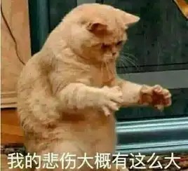  可爱猫咪表情包,萌萌的小仙女最为喜欢,小哥哥都hold不住
