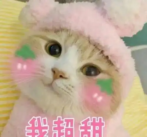  端午,长桥街道邀您乘风破浪拍粽子