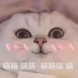  如果感到幸福你就拍拍手