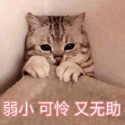  台风组团9号台风已现身10号台风周末可能杀到福州