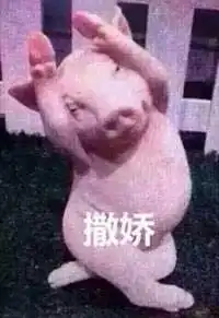 撒娇表情包图片猪猪