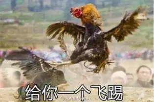  2017鸡年专用表情包合集,鸡年就得用鸡的表情包