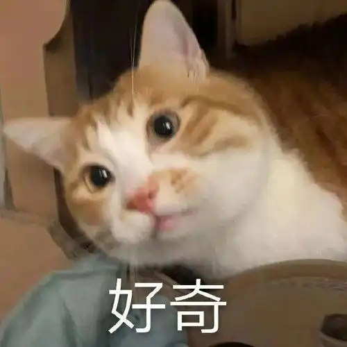 可爱表情包图片男朋友只打游戏,不陪我