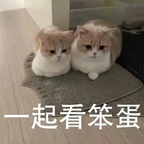  哈哈哈哈哈哈哈哈哈哈哈哈哈